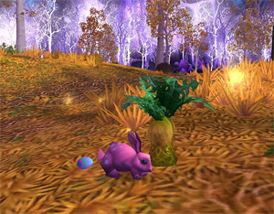 world of warcraft daily quests